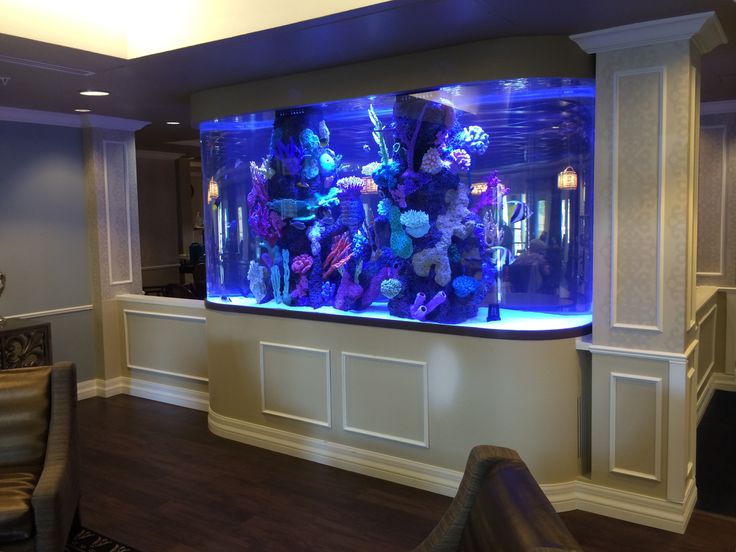 Fish Aquarium Tank